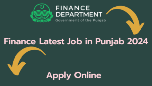 Finance Latest Job in Punjab 2024