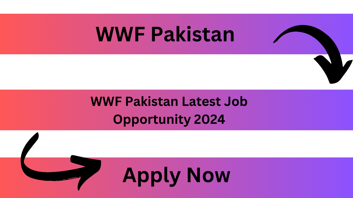 WWF Pakistan Latest Job Opportunity 2024