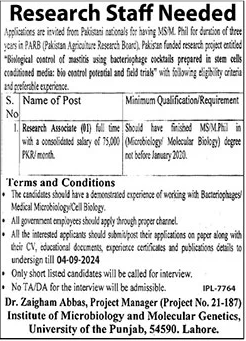 University of Punjab Latest Job Opportunity 2024