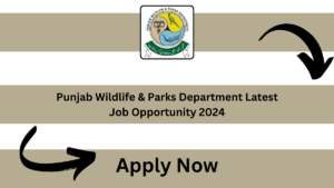 Punjab Wildlife & Parks Department Latest Job Opportunity 2024