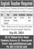 IIUI School Latest Job Opportunity 2024