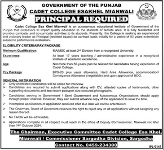 Cadet College Latest Job Opportunity 2024