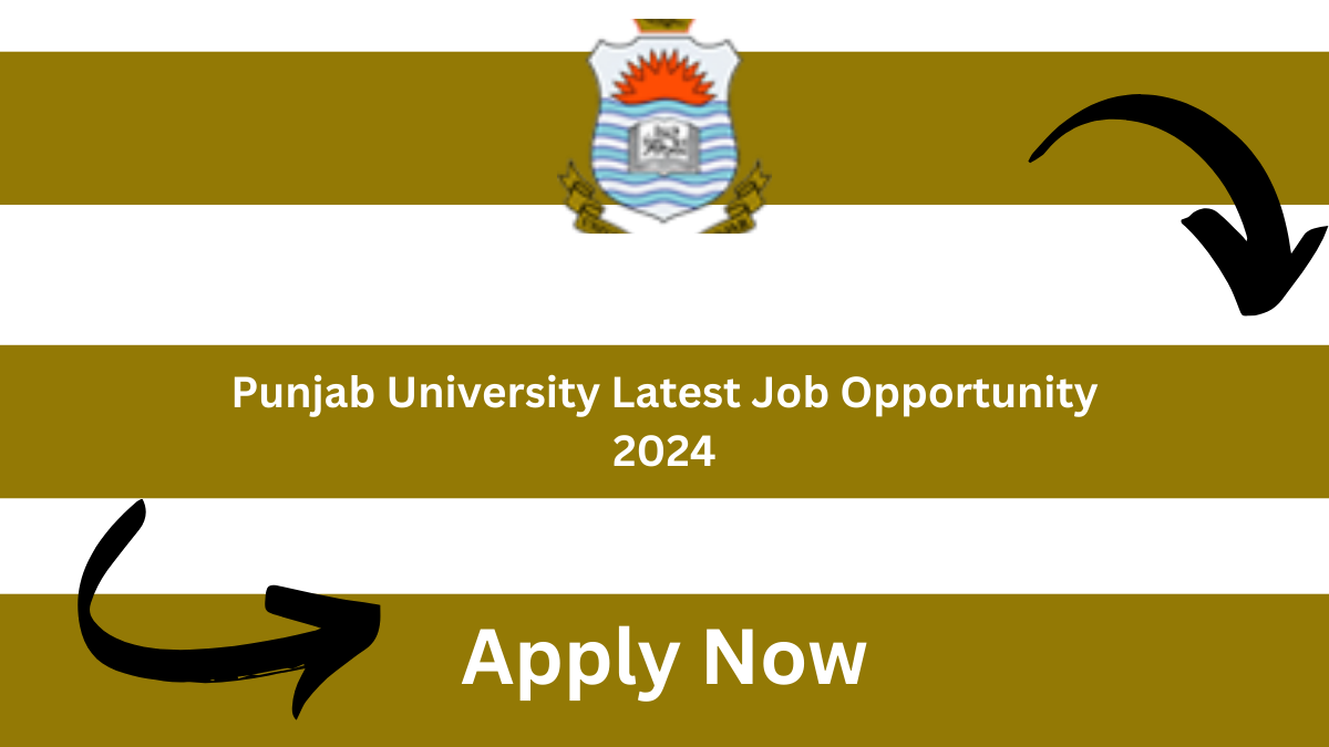 Punjab University Latest Job Opportunity 2024